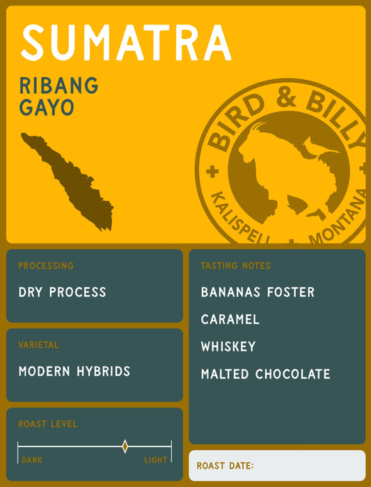 Sumatra Ribang Gayo