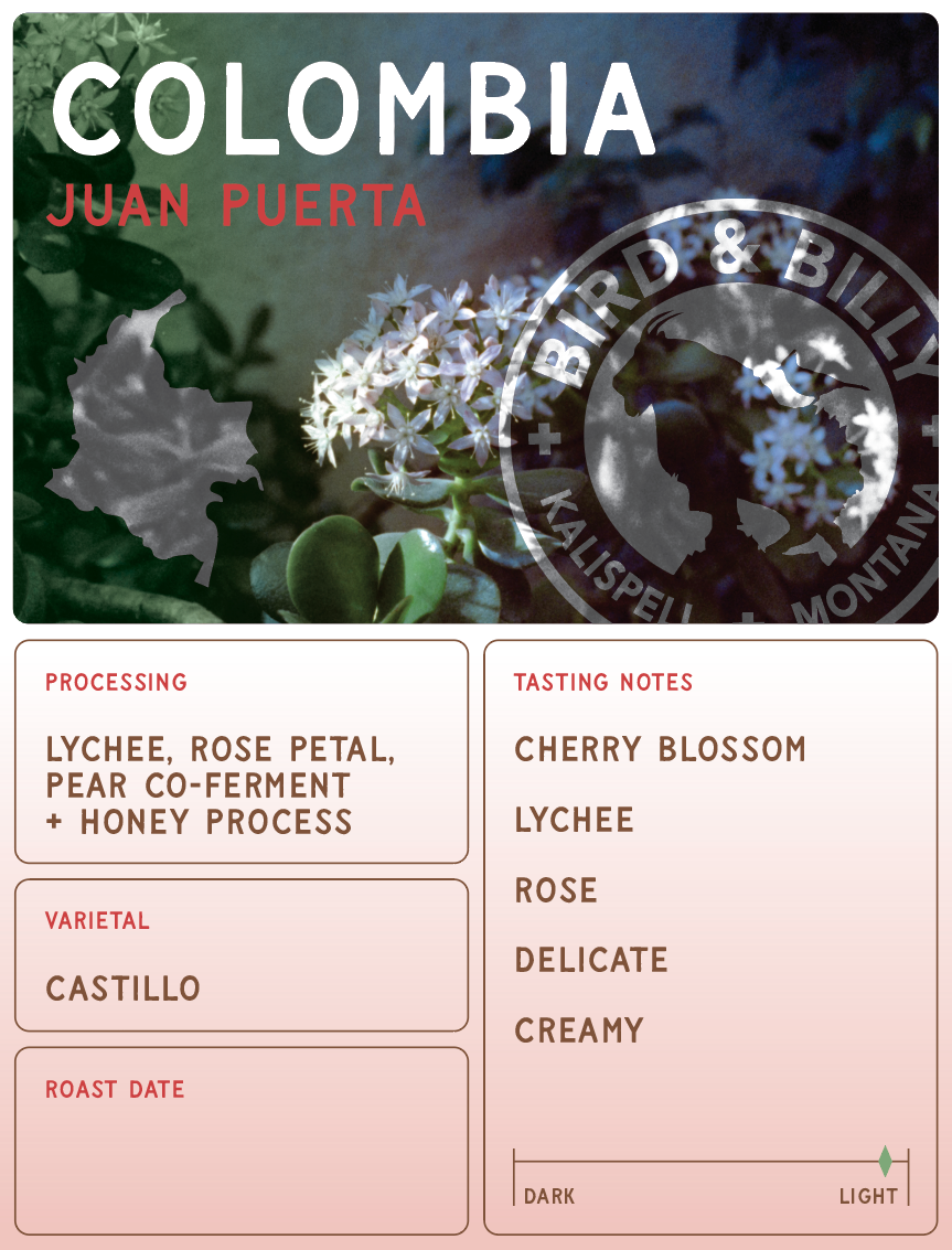 SEASONAL SPECIAL - Colombia Juan Puerta Co-Ferment