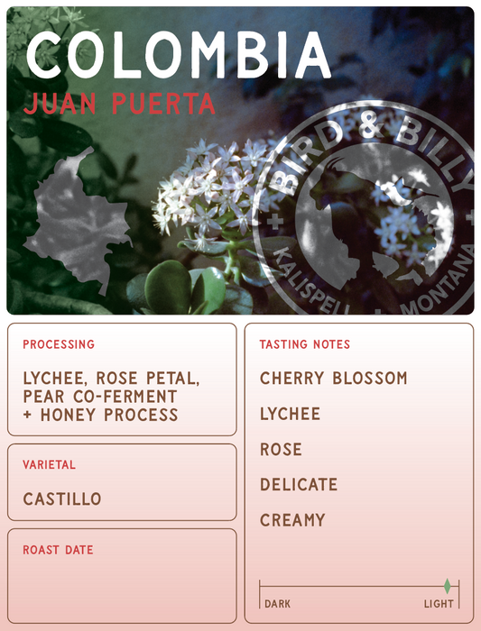 SEASONAL SPECIAL - Colombia Juan Puerta Co-Ferment