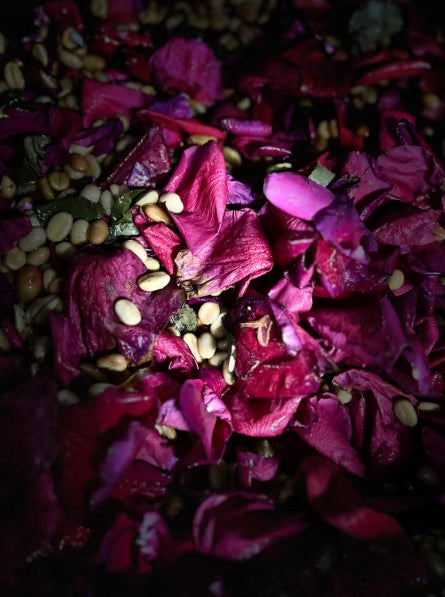 SEASONAL SPECIAL - Colombia Juan Puerta Co-Ferment