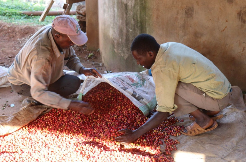 Kenya Nyeri Burumani
