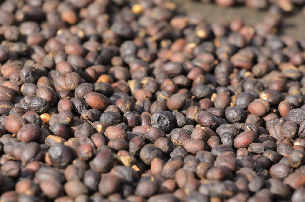 Ethiopia Benti Nenka