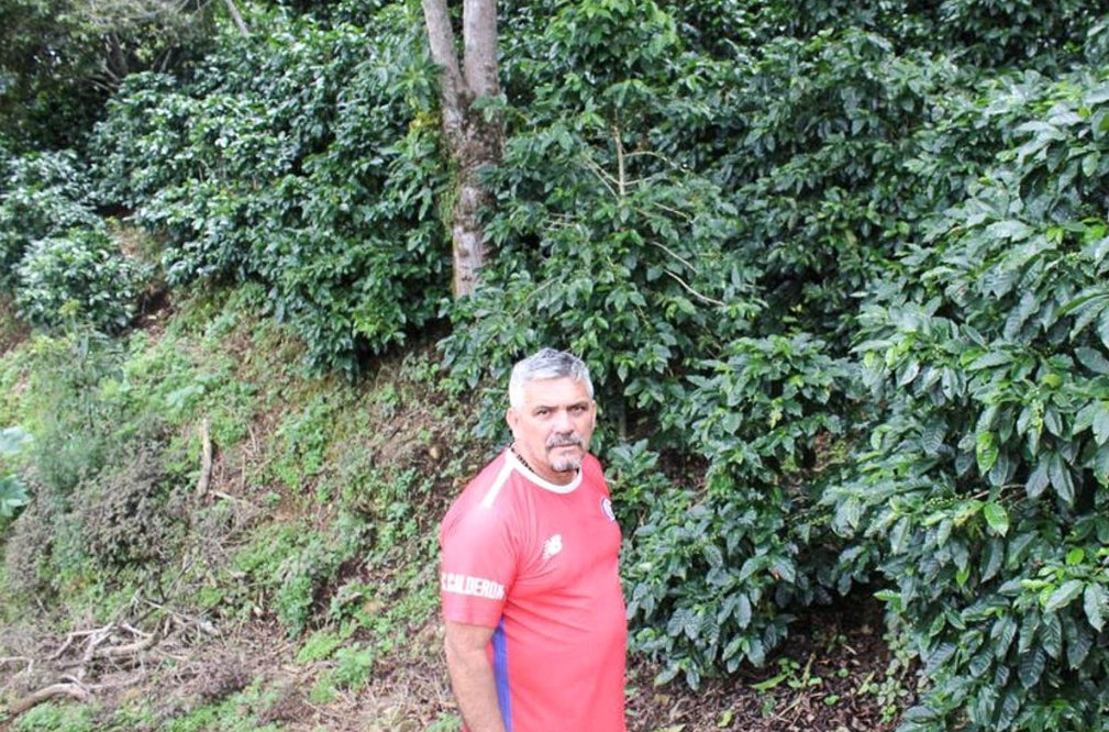 Costa Rica Finca Arecas