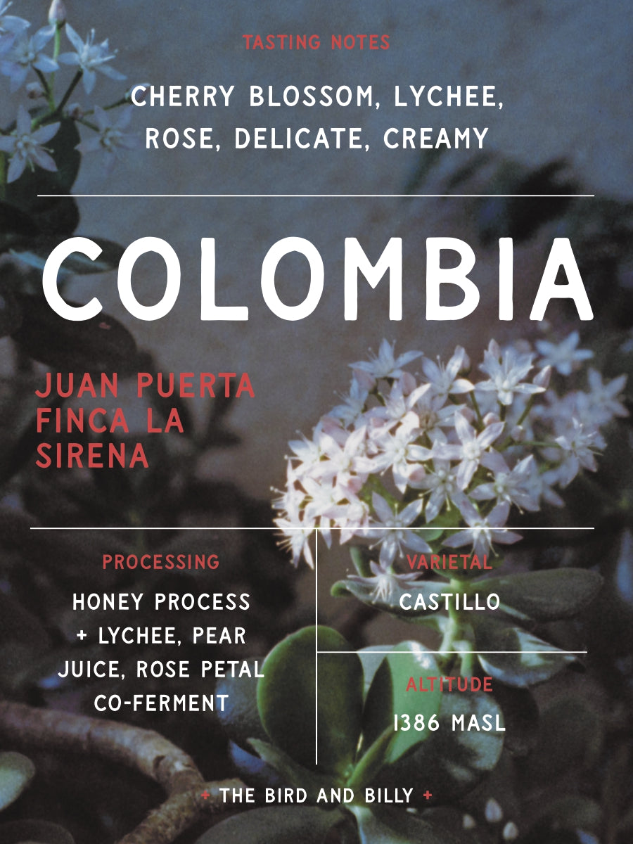 SEASONAL SPECIAL - Colombia Juan Puerta Co-Ferment
