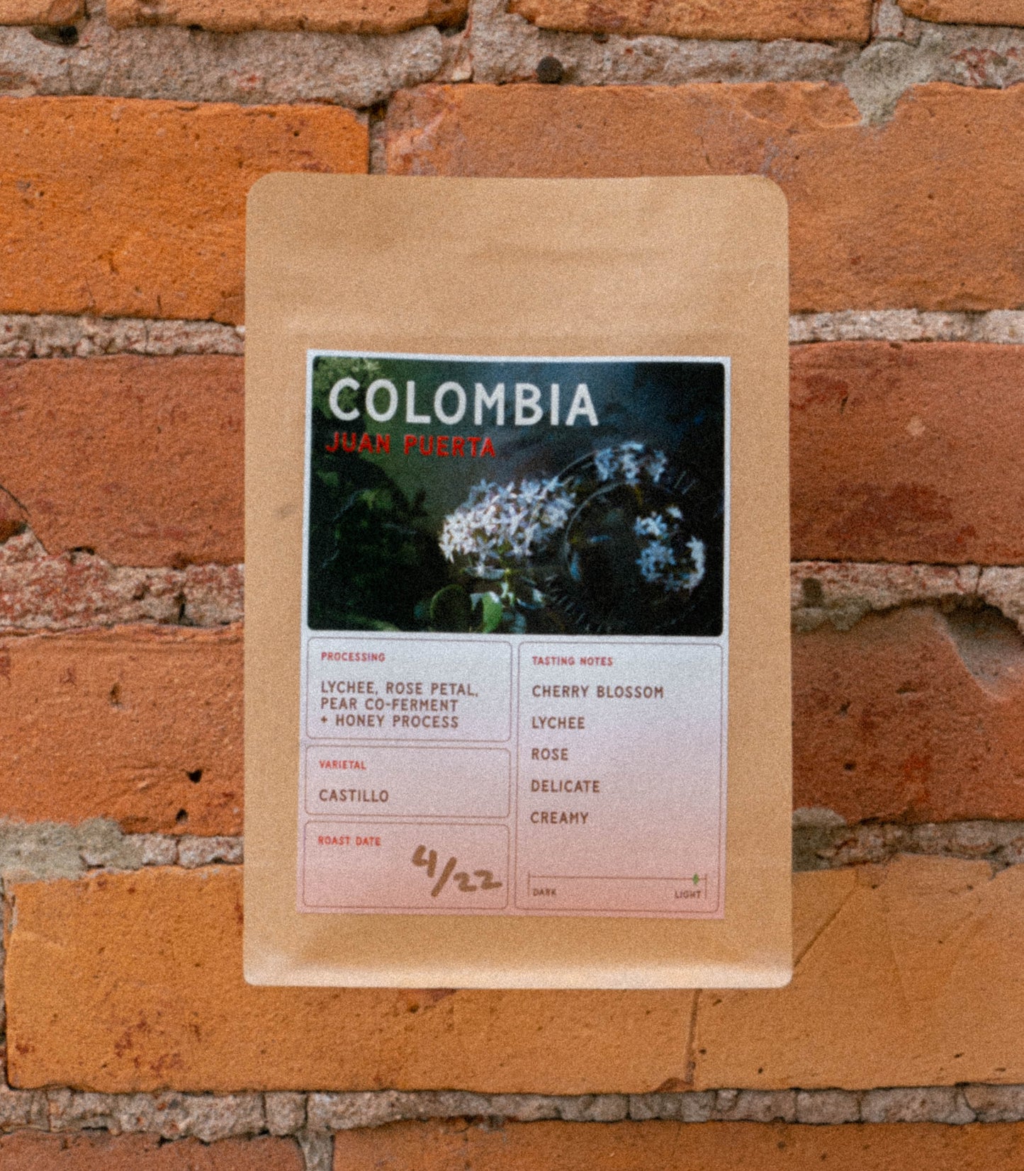 SEASONAL SPECIAL - Colombia Juan Puerta Co-Ferment