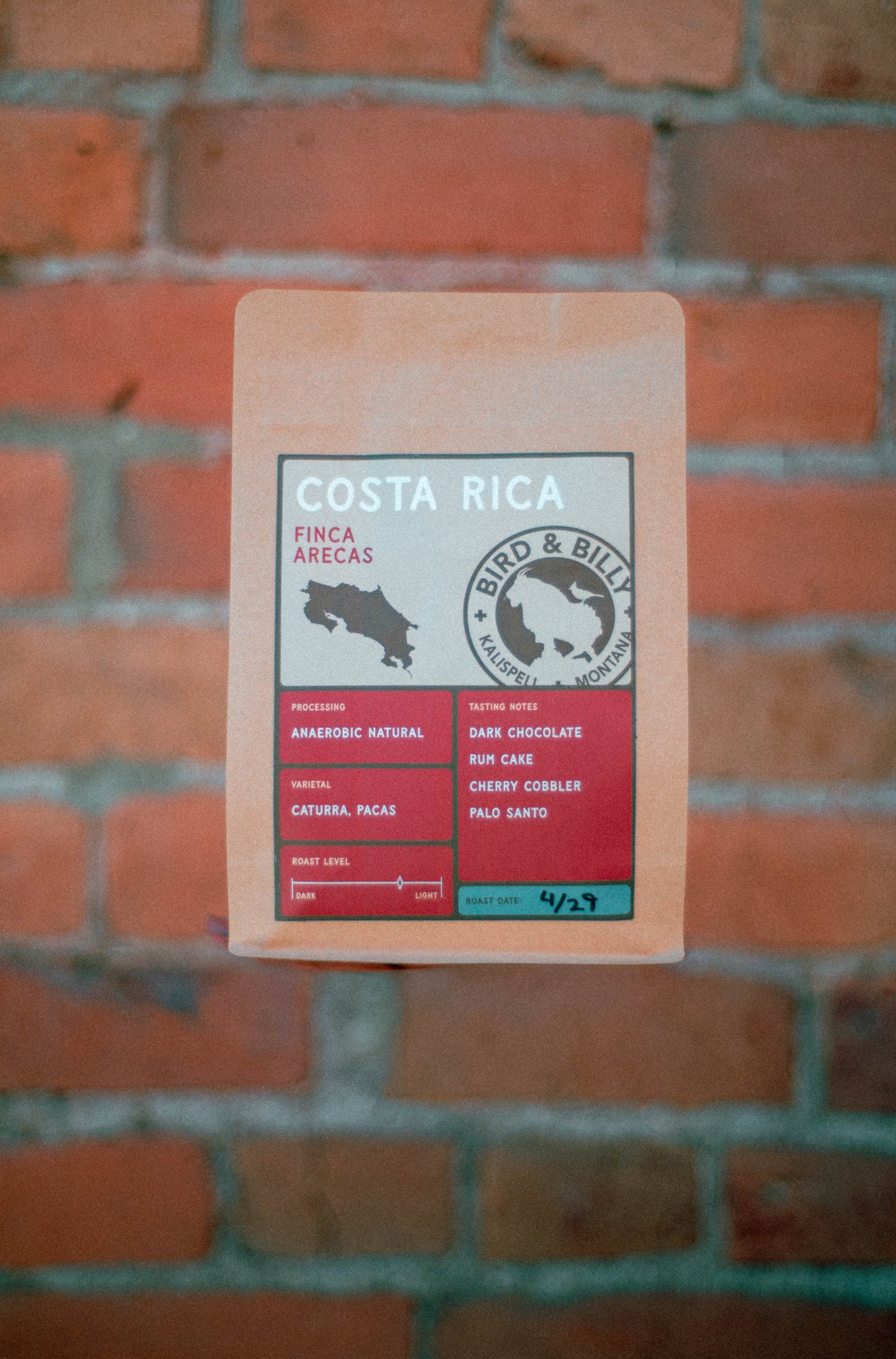 Costa Rica Finca Arecas
